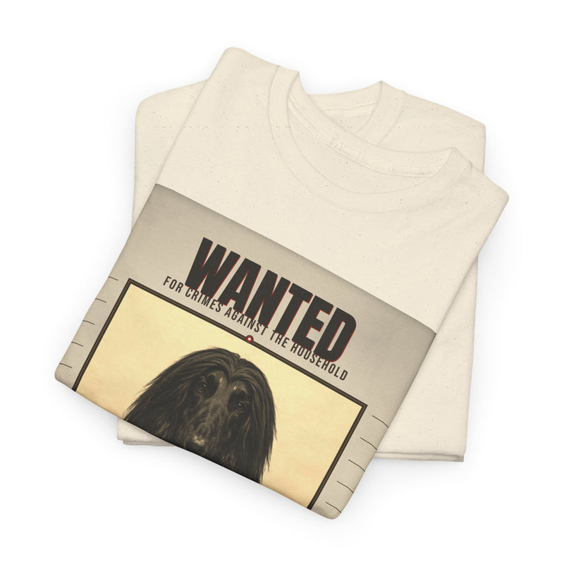 Wanted Afghan Hound Tee