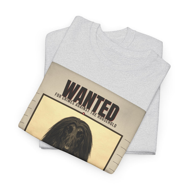 Wanted Afghan Hound Tee