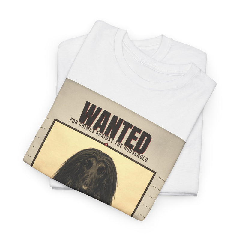 Wanted Afghan Hound Tee