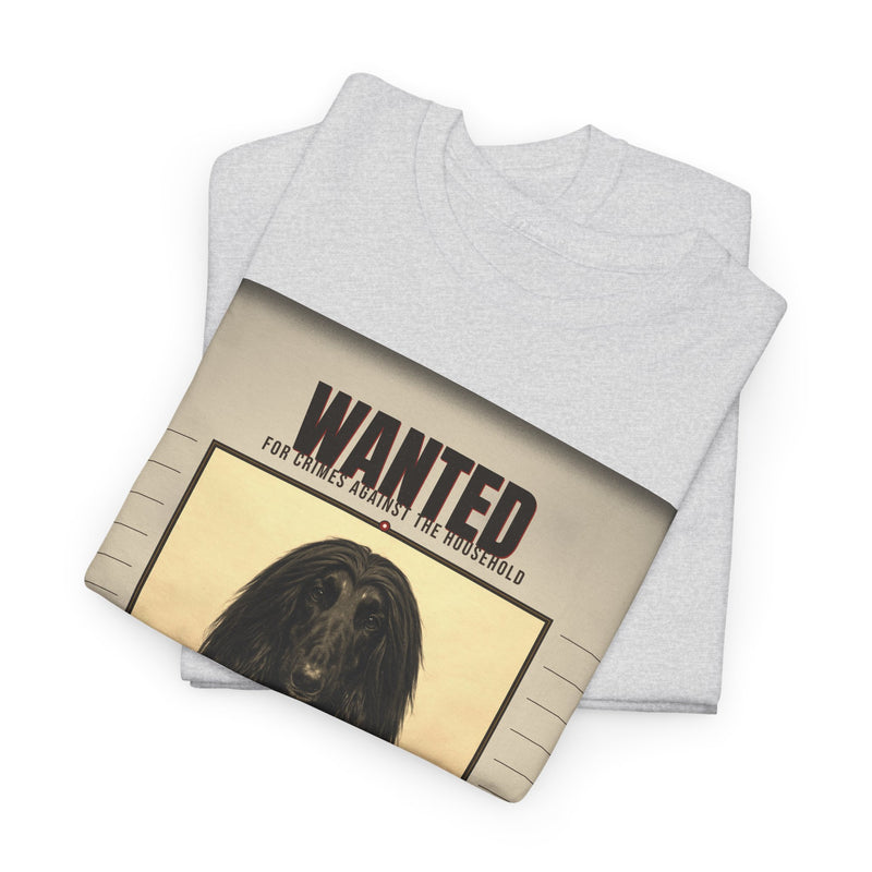 Wanted Afghan Hound Tee