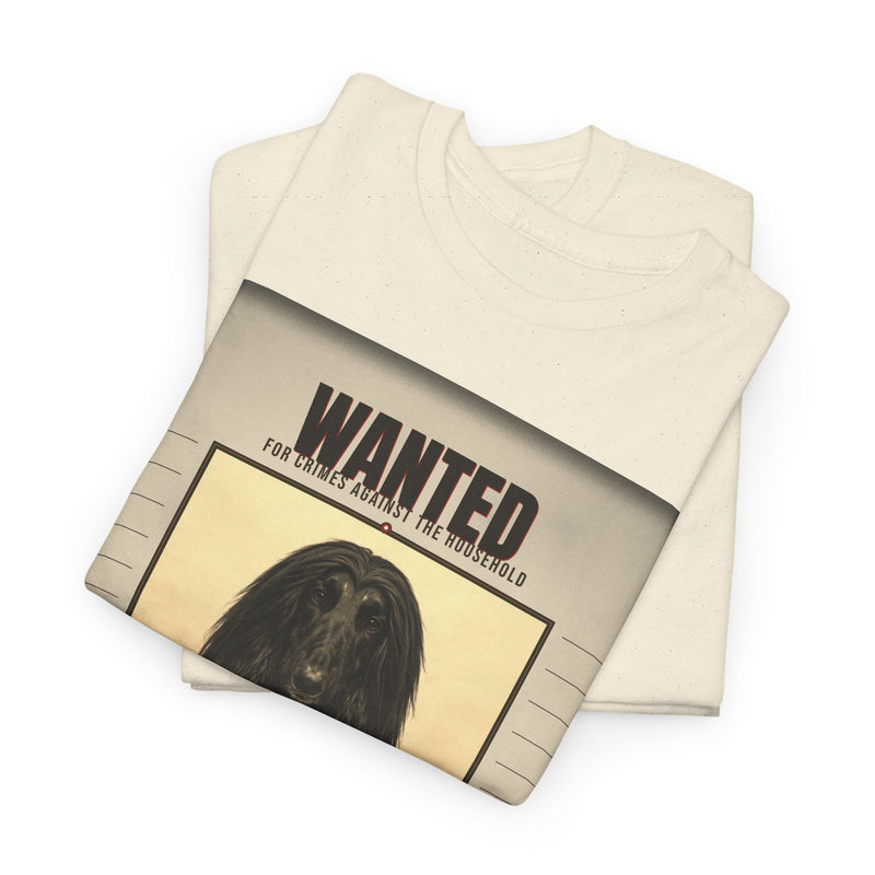 Wanted Afghan Hound Tee