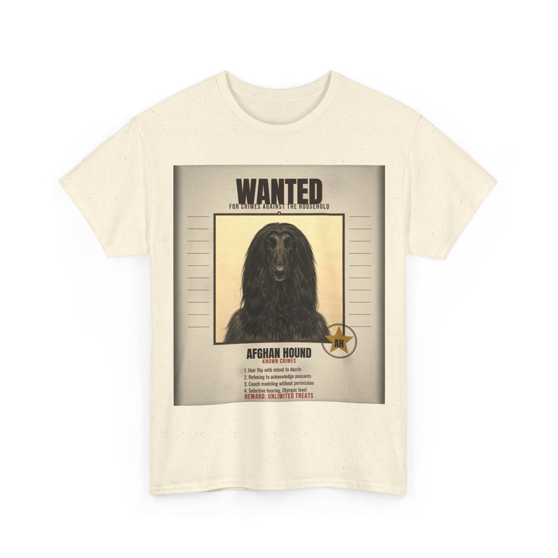Wanted Afghan Hound Tee
