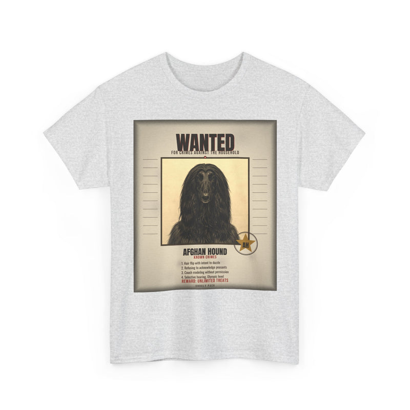 Wanted Afghan Hound Tee
