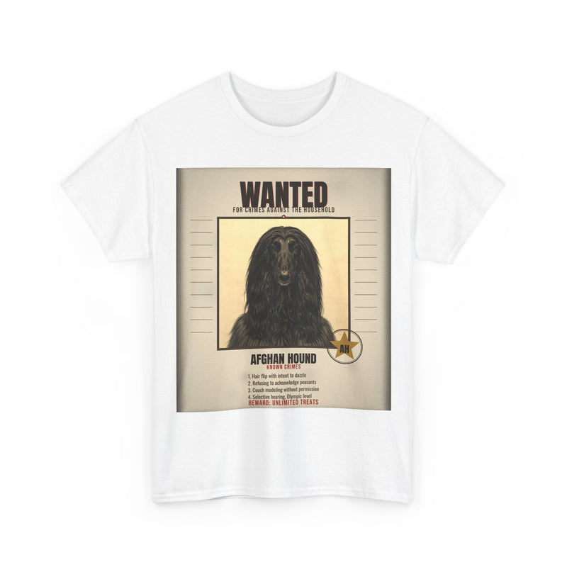 Wanted Afghan Hound Tee