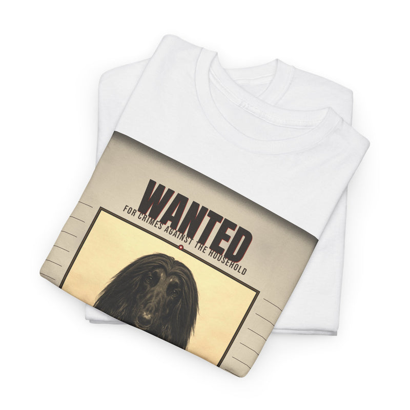 Wanted Afghan Hound Tee