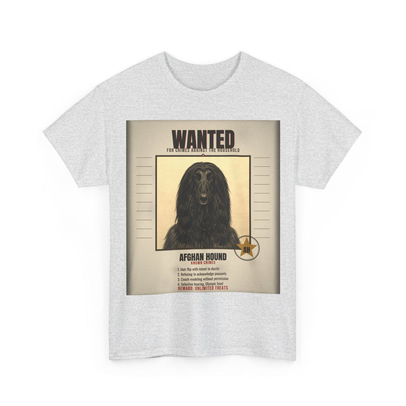 Wanted Afghan Hound Tee