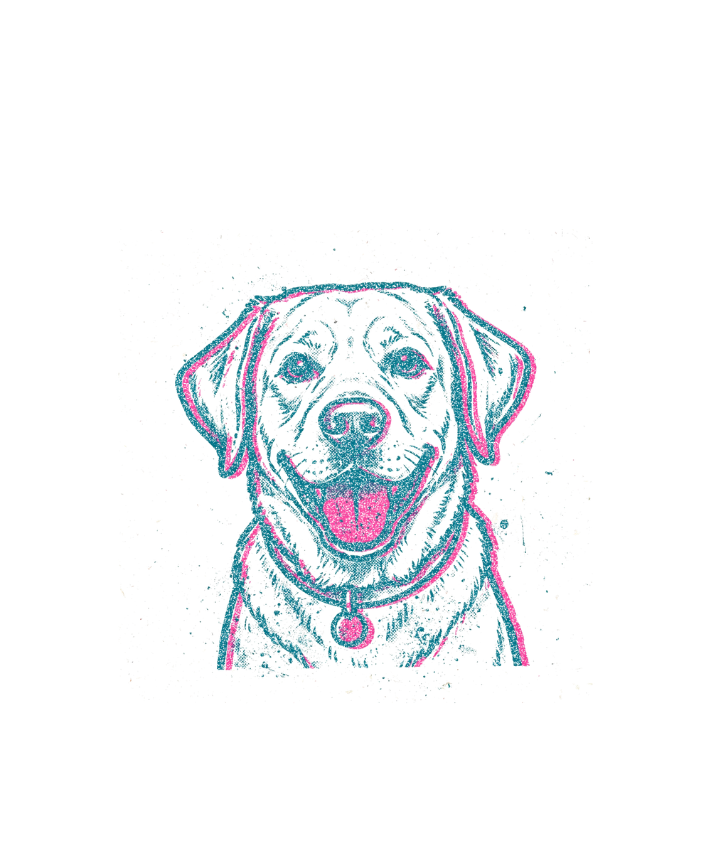 Riso Labrador Hoodie
