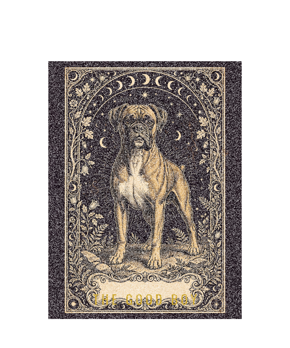 Tarot Boxer Tee
