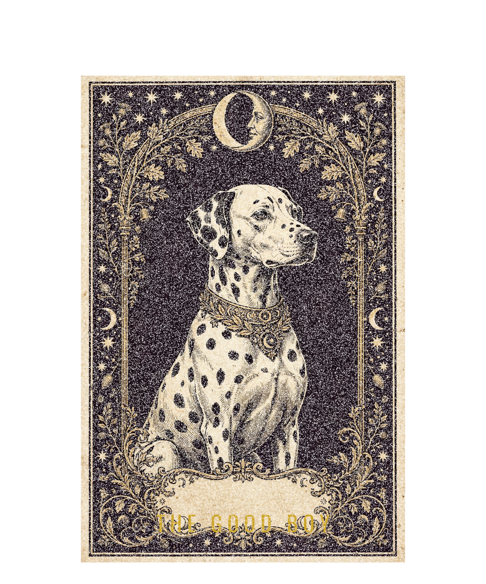 Tarot Dalmatian Tee