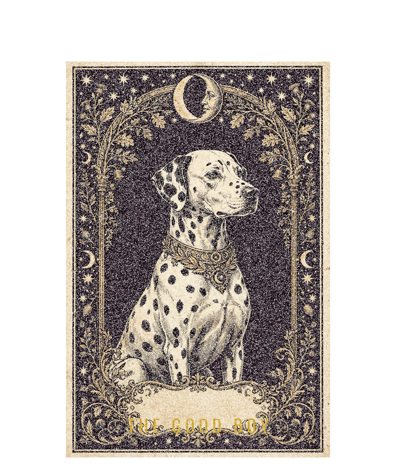 Tarot Dalmatian Tee